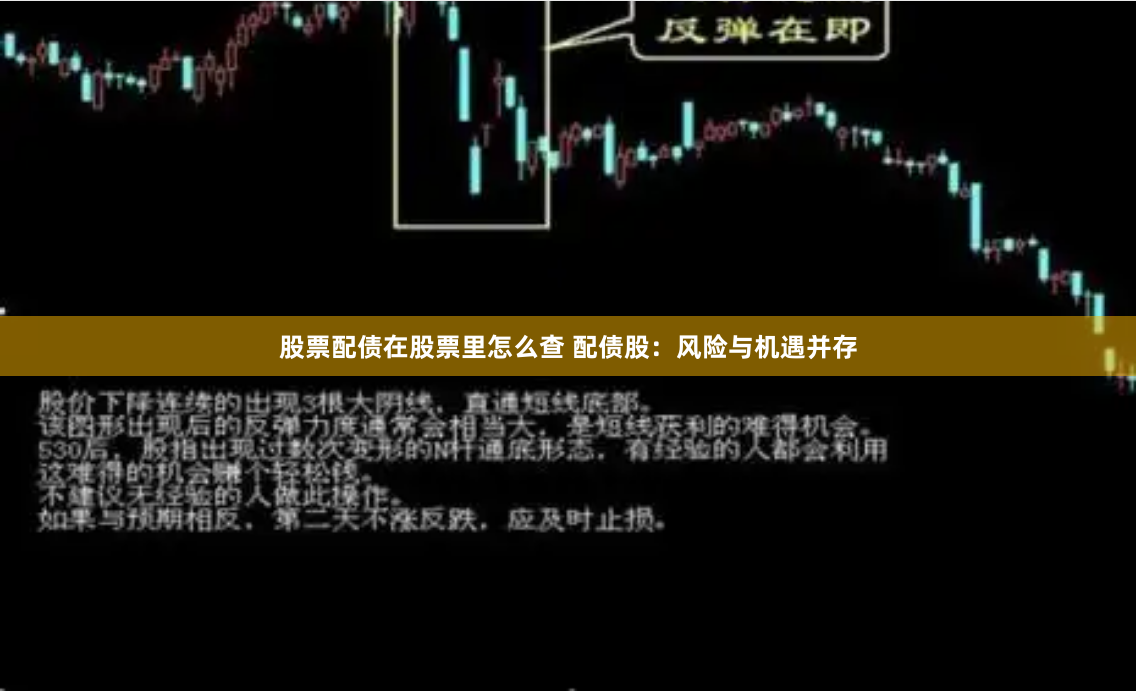 股票配债在股票里怎么查 配债股：风险与机遇并存